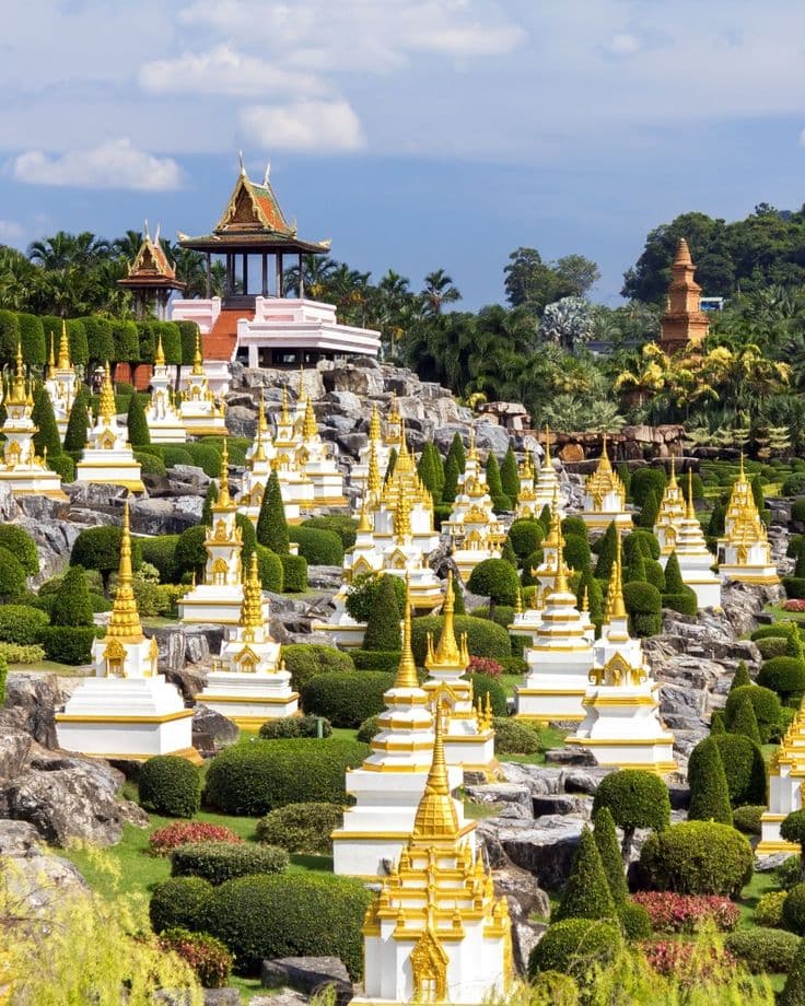 Coral Island & Nong Nooch Garden Tour